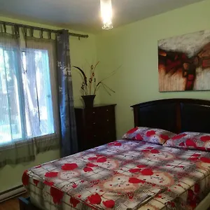 Authentic Appartement